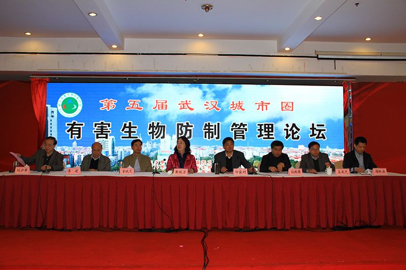 �μ��人����Ȧ�к�������ι�����̳