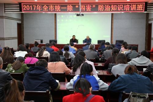 �μ��麣�г��ĺ�����֪ʶ��ѵ
